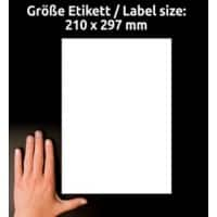 AVERY Zweckform Abziehhilfe QuickPEEL Wasserabweisend Selbsthaftend Versandetiketten L7567-25 Selbsthaftend A4 Transparent 210 x 297 mm 25 Blatt à 1 Etiketten