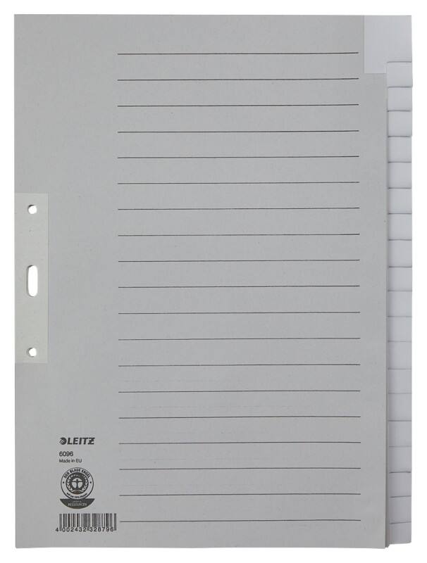 Leitz Register 6096 A4 Für Leitz ALPHA Hängeregistraturen Grau 20-teilig 3-fach 100% Recycelter Kraft-Karton