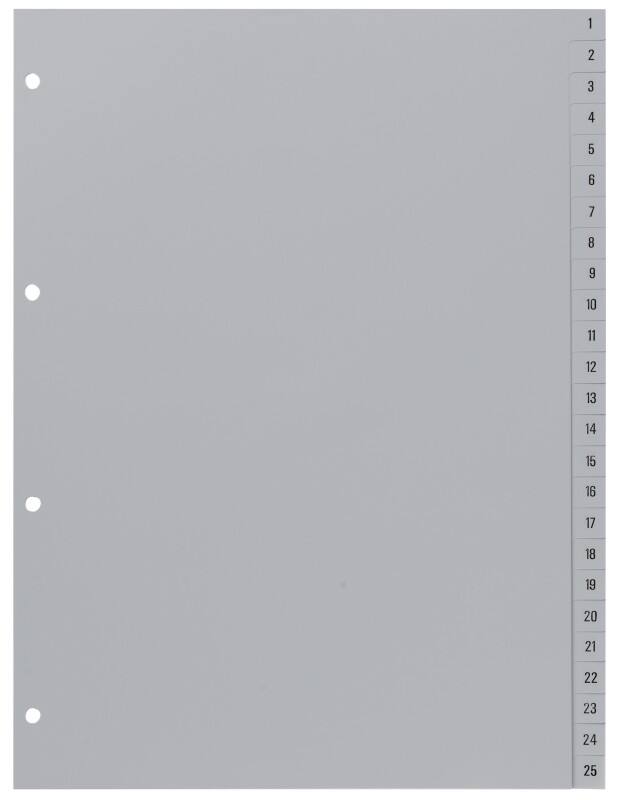 Hetzel Register 721311 DIN A4 Grau 100-teilig 4-fach Kunststoff 1 bis 100