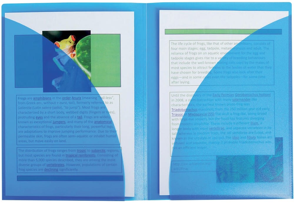 Exacompta Präsentationsmappe Twin File DIN A4 Blau, Transparent Polypropylen