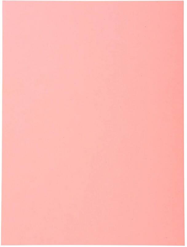 Exacompta Forever Ordnungsmappe DIN A4 Rosa Manila Recycelt 100% 170 g/m² 100 Stück