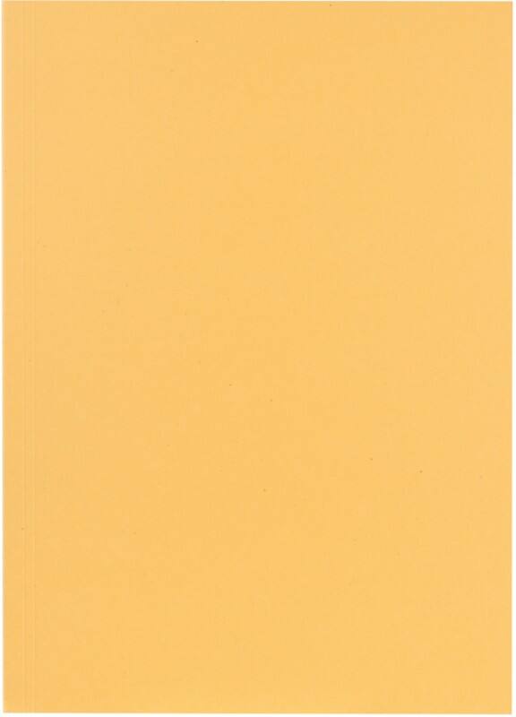 Falken Aktendeckel A4 Beige 250 g/m² Manilakarton