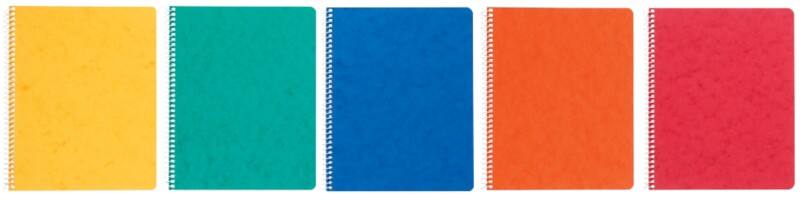 Ursus Style Notizbuch DIN A5 Kariert Spiralbindung Pressspan Färbig sortiert Perforiert 96 Seiten 10 Stück à 48 Blatt