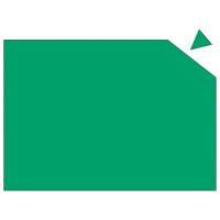 Franken Magnetplatte 841 Grün 29,5 x 20 cm