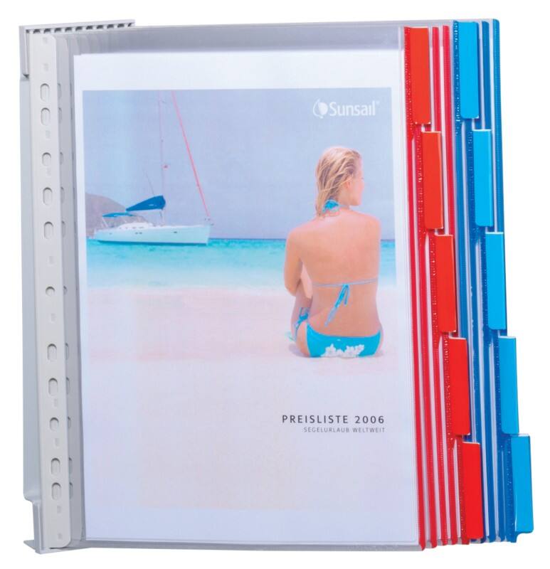 DURABLE FUNCTION Sichttafelsystem 20 Flächen A4 PVC (Polyvinylchlorid) Farbig sortiert