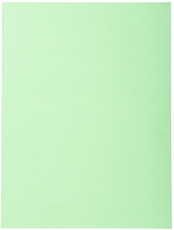 Exacompta Forever Ordnungsmappe DIN A4 Grün Manila Recycelt 100% 170 g/m² 100 Stück