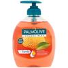 Palmolive Flüssigseife Hygiene Plus Familie 300 ml