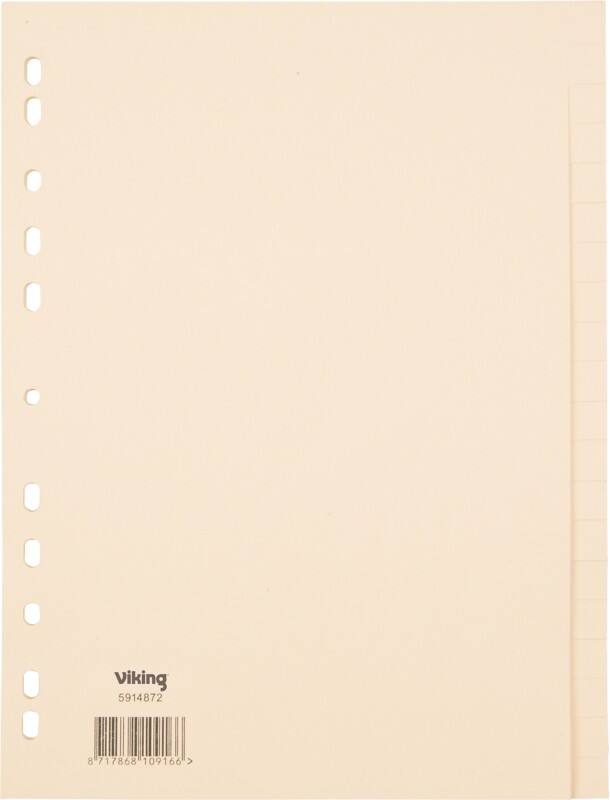 Viking Standard Blanko Blanko Register 100% Recycelt A4 Chamois 20-teilig Pappkarton 11 Löcher 20 Blatt