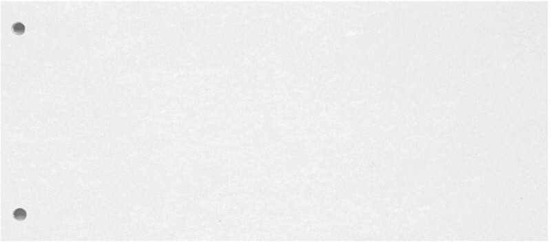 Biella Trennstreifen Spezial Weiß Manilakarton 0199190.01 100 Stück