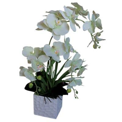 Künstliche Pflanze Orchideen Weiß, Grün 600 mm