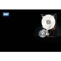 WD Festplatte WD1003FZEX 1 TB